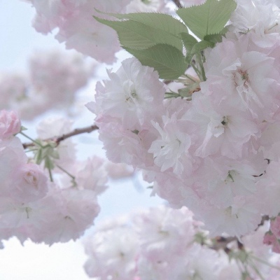 Furry角色比例设计技巧福瑞交流群